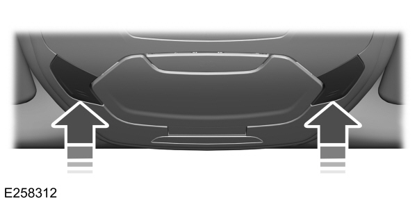 Image Shown Without Description