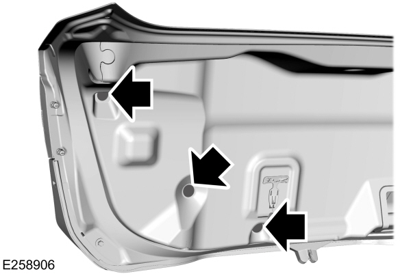 Image Shown Without Description