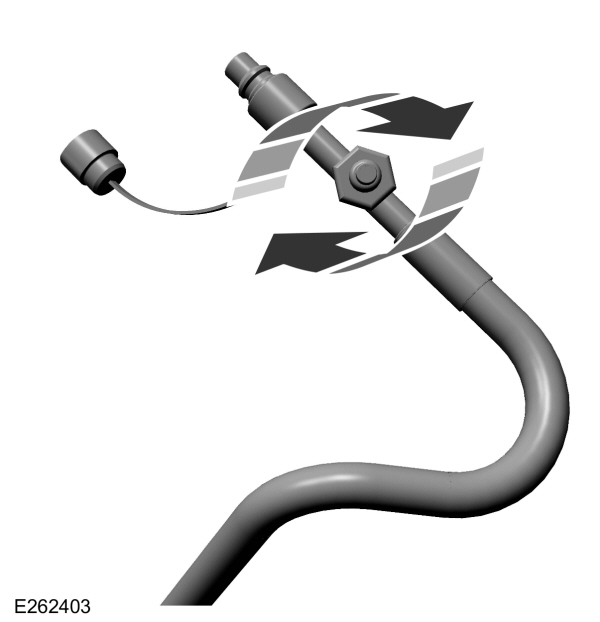 Image Shown Without Description