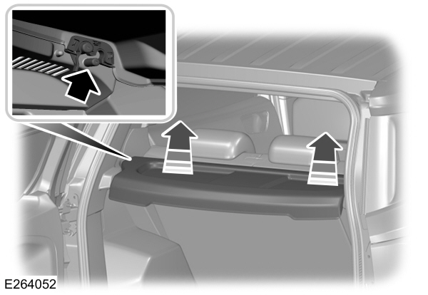 Image Shown Without Description