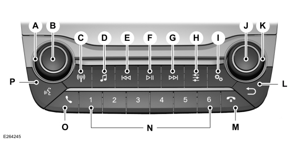 Image Shown Without Description