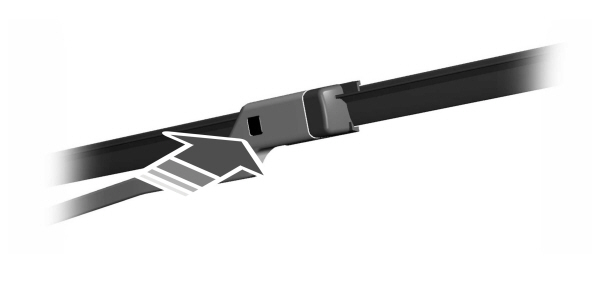 Image Shown Without Description