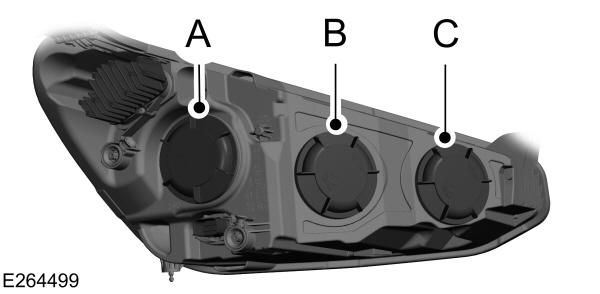 Image Shown Without Description