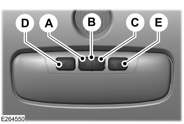 Image Shown Without Description