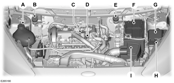 Image Shown Without Description