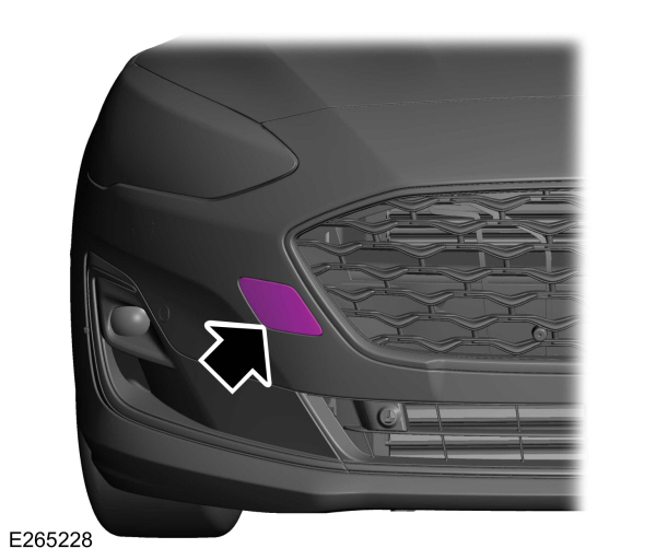 Image Shown Without Description