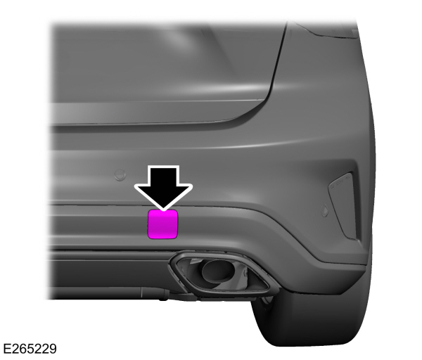 Image Shown Without Description