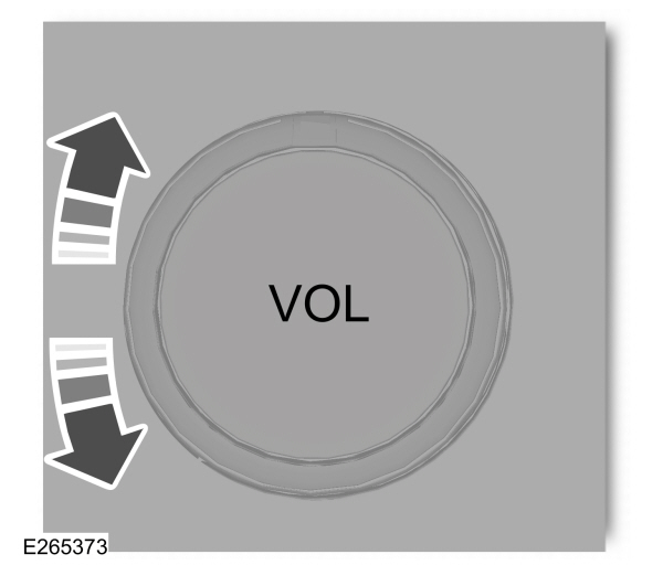 Image Shown Without Description