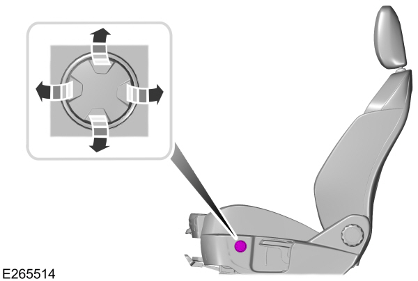 Image Shown Without Description