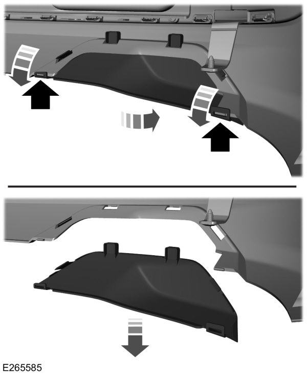 Image Shown Without Description