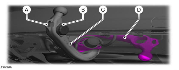 Image Shown Without Description