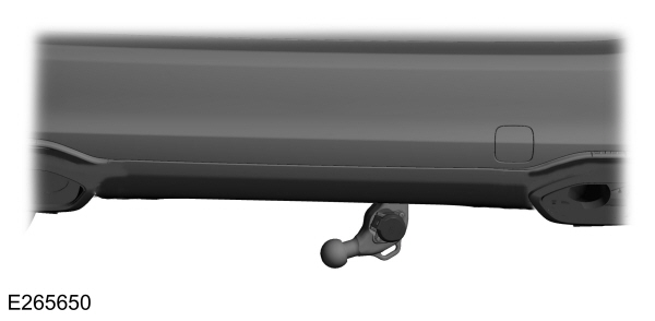 Image Shown Without Description