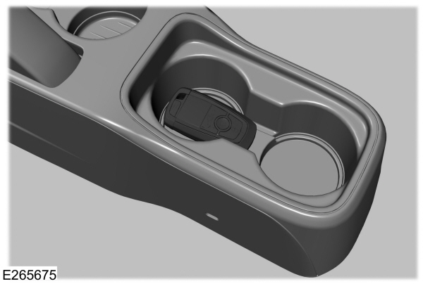 Image Shown Without Description