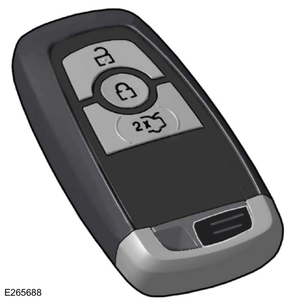 Image Shown Without Description