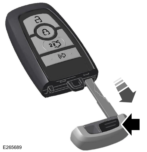 Image Shown Without Description