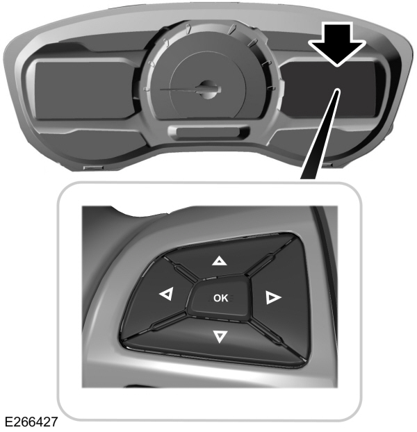 Image Shown Without Description