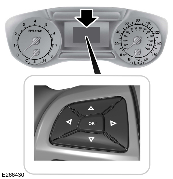 Image Shown Without Description