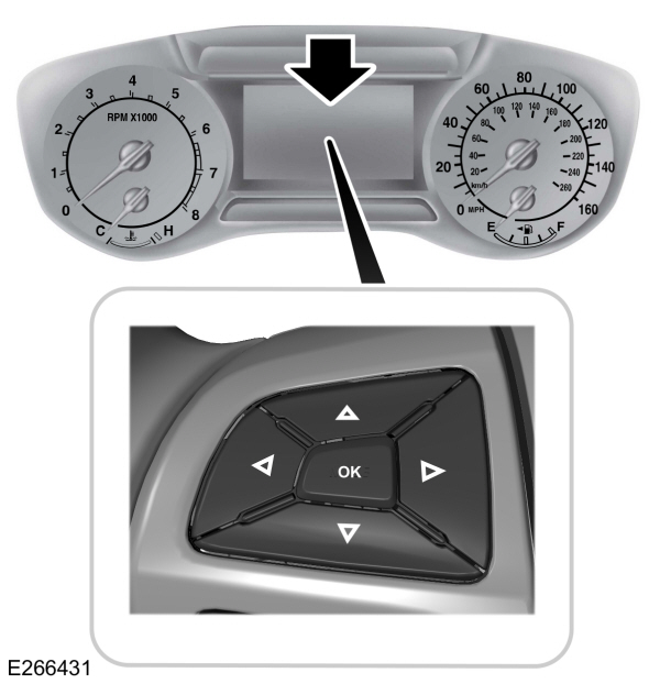 Image Shown Without Description