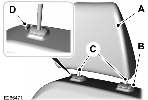 Image Shown Without Description