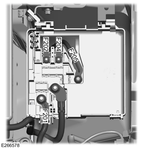 Image Shown Without Description