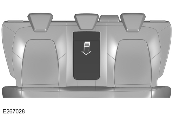 Image Shown Without Description