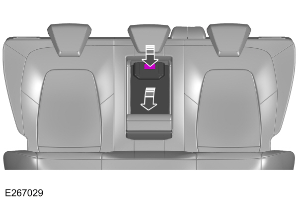 Image Shown Without Description