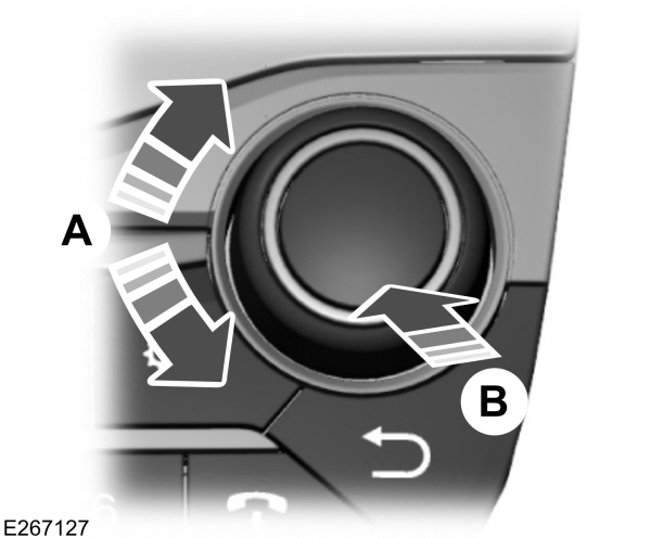 Image Shown Without Description