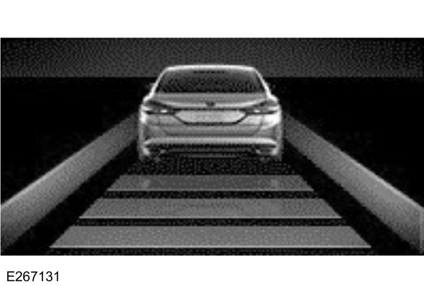 Image Shown Without Description