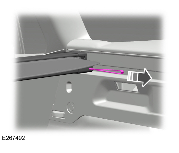 Image Shown Without Description