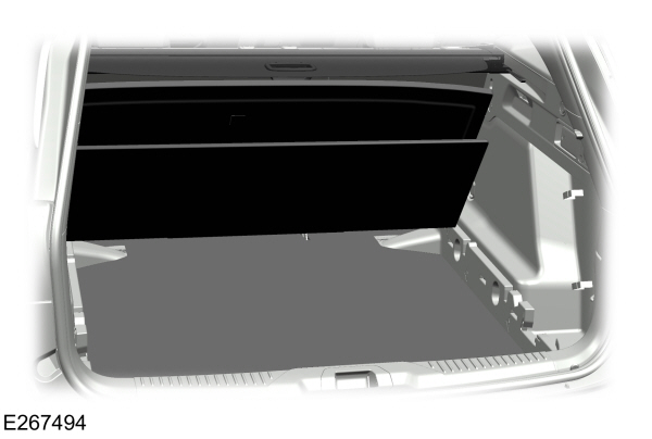 Image Shown Without Description