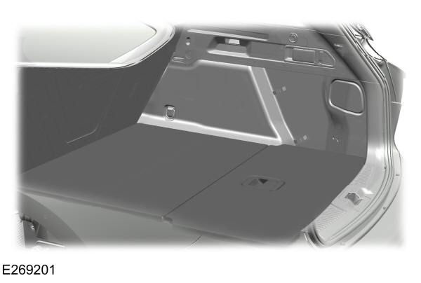 Image Shown Without Description