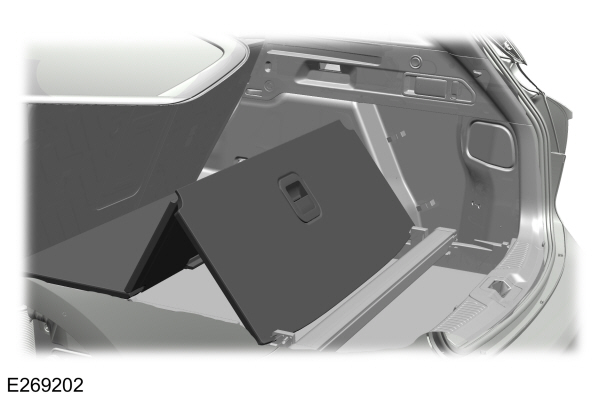 Image Shown Without Description