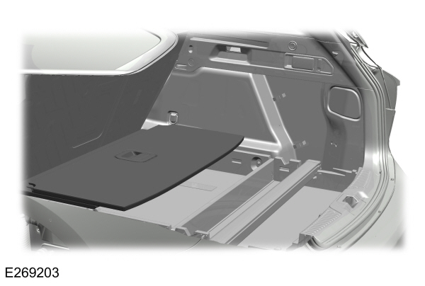 Image Shown Without Description