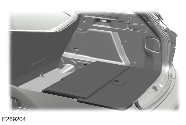 Image Shown Without Description