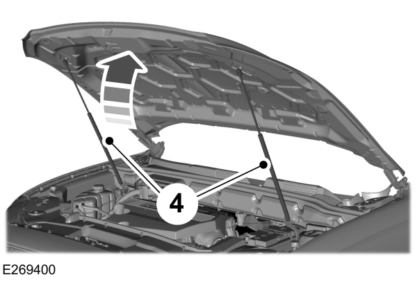Image Shown Without Description