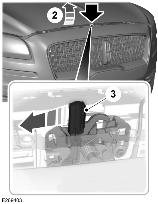 Image Shown Without Description