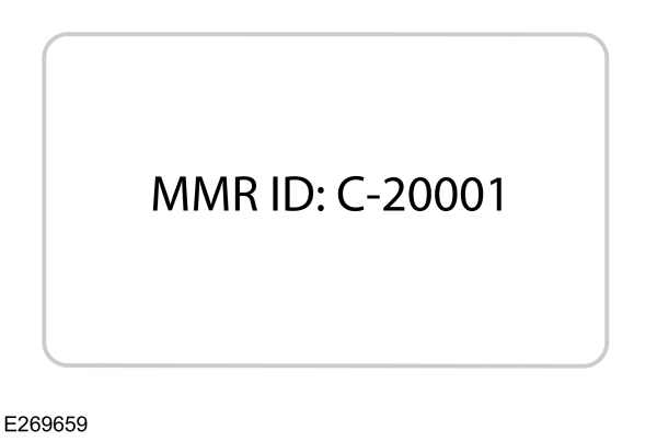 Image Shown Without Description