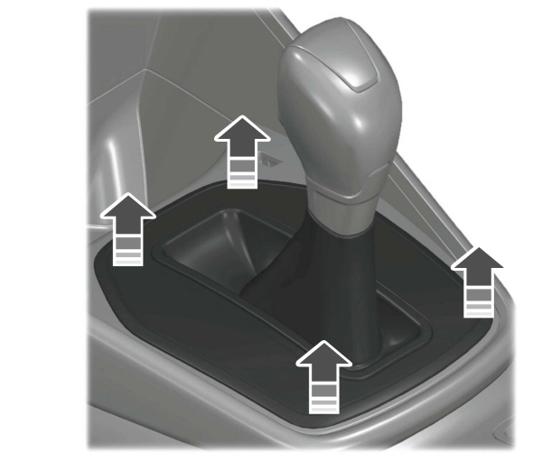 Image Shown Without Description