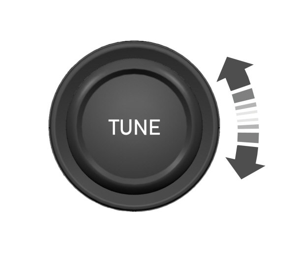 Image Shown Without Description