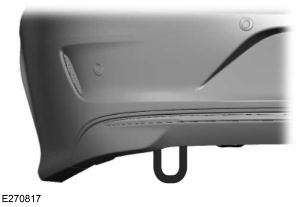 Image Shown Without Description