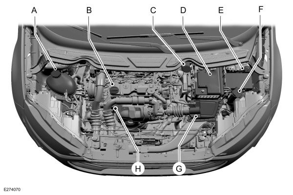 Image Shown Without Description