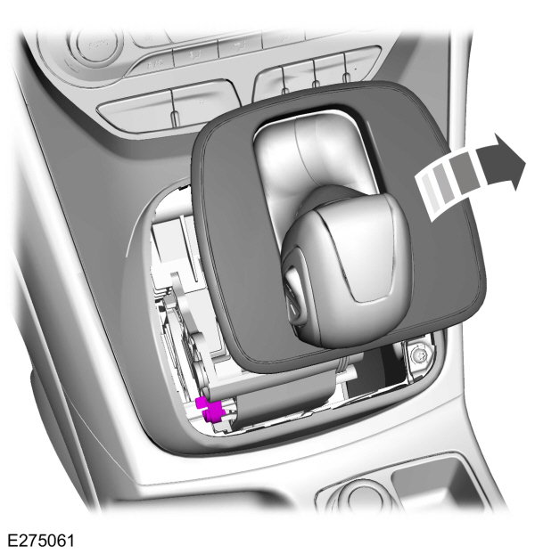 Image Shown Without Description