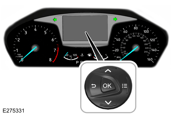 Image Shown Without Description