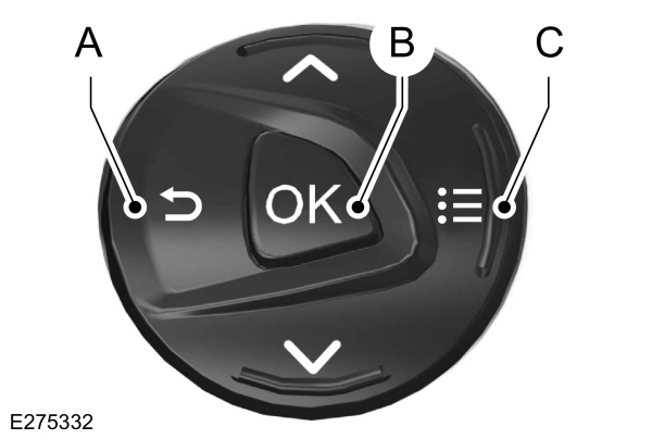 Image Shown Without Description