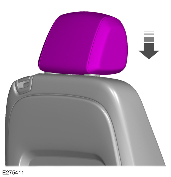 Image Shown Without Description