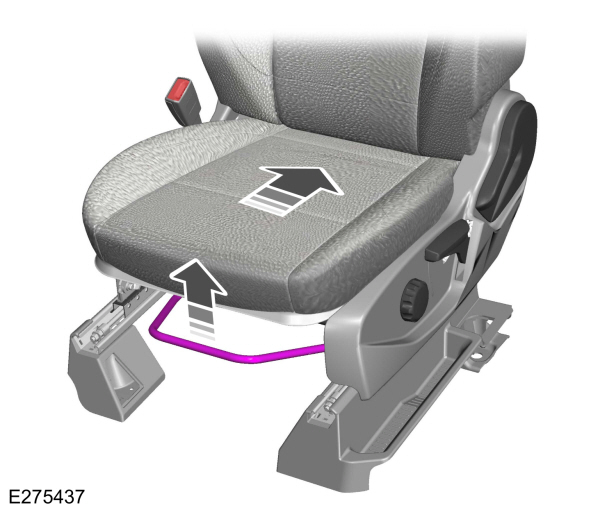 Image Shown Without Description