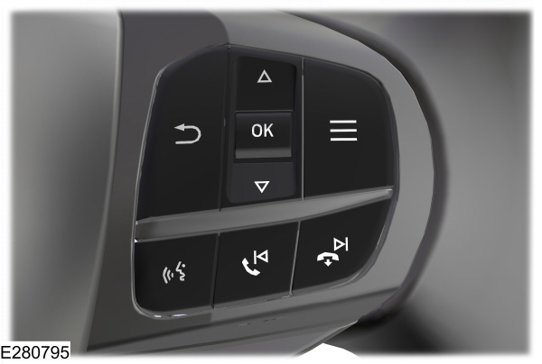 Information Display Control Buttons