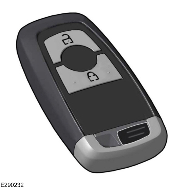 Two Button Remote/Key