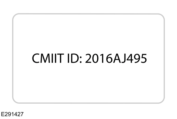 Image Shown Without Description