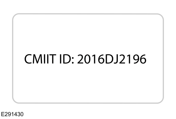 Image Shown Without Description